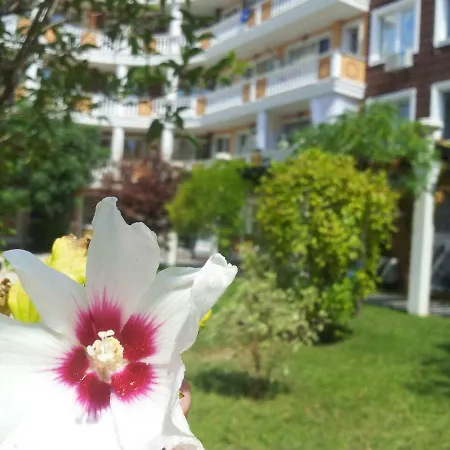 Aria Complex Slăntjev Brjag